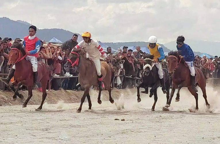 Pacu Kuda Tradisional Gayo Tahun 2022 Benar-Benar Meriah