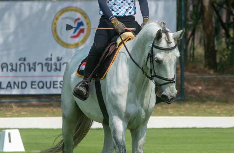 Atlet Muda Equestrian Indonesia Nurstdinov Siap Bertanding Show Jumping pada Queen’s Cup 2024 Thailand