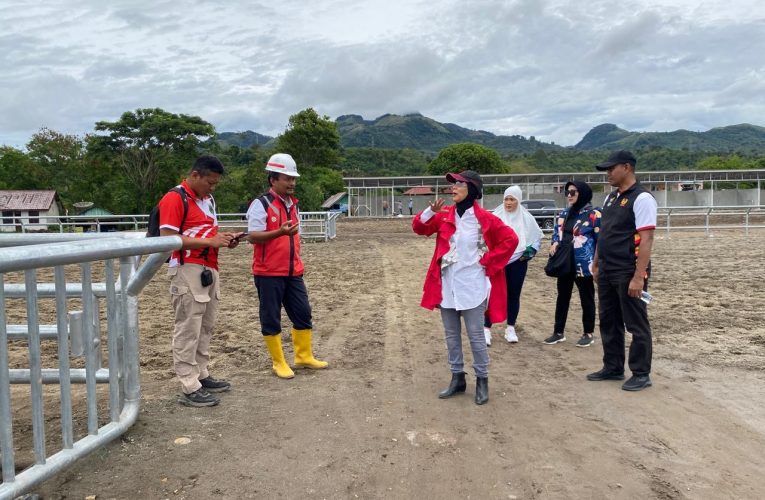 Ketum PP.Pordasi Tinjau Venue Jelang Pertandingan Pacu Kuda PON XXI Aceh-Sumut 2024