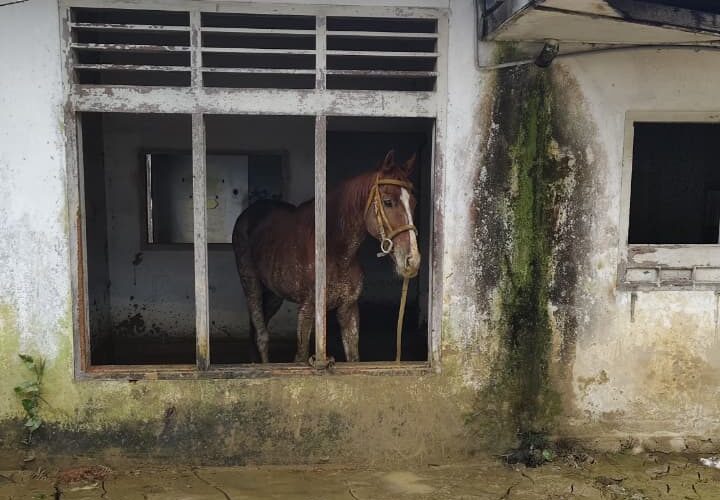 Pordasi Berkuda Memanah Peduli Bencana Sumatera